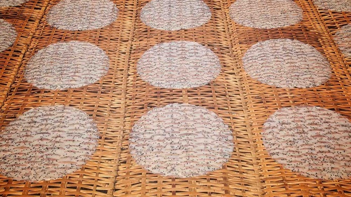 Làng nghề bánh tráng Thuận Hưng, Cần Thơ